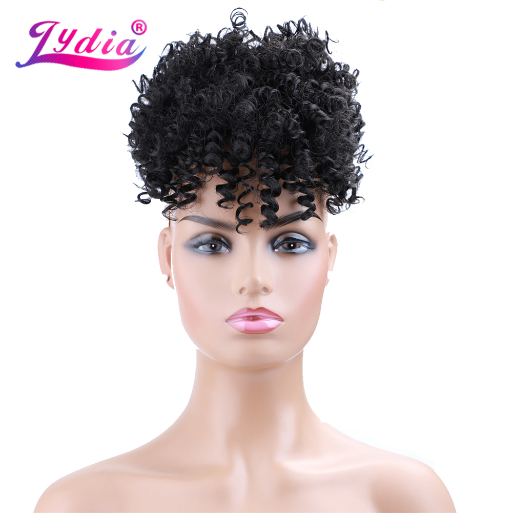 Lydia Drawstring Synthetic Hig - Drawstring Afro Curly Puff Ponytail review and price